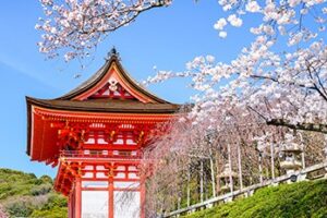 好想去日本！旅行業超前部屬「賞櫻團價格曝光」　網驚：是日幣嗎？