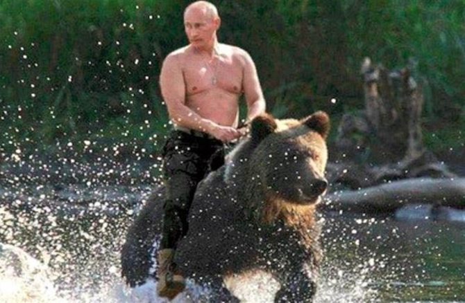 馬斯克放話單挑普丁「賭注是烏克蘭」！一張圖回擊嘲諷