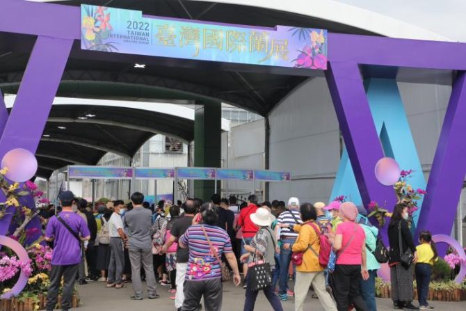 2022台灣國際蘭展捲土重來 把握最後9天的展期欣賞世界一流的蘭花