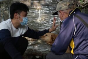 香蕉「好狗緣」尬舞浪浪！「浪愛集食」籲助糧不助款暖毛孩