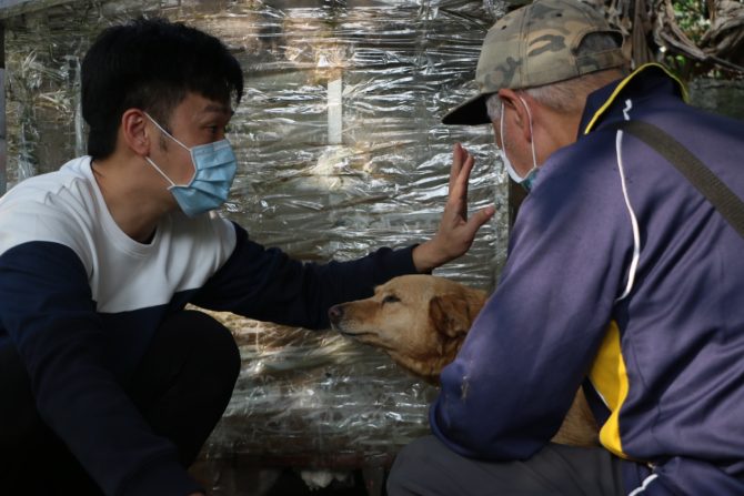 香蕉「好狗緣」尬舞浪浪！「浪愛集食」籲助糧不助款暖毛孩