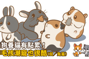 養狗養貓有點累！非毛孩潮寵也很酷
