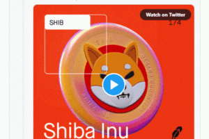 柴犬幣登 Robinhood 一日大漲 35%，SHIB 創兩個月來新高