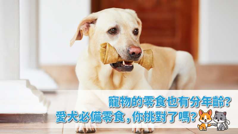 寵物的零食也有分年齡？愛犬必備零食，你挑對了嗎？
