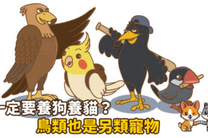 一定要養狗養貓？鳥類也是另類寵物