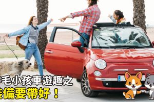 帶毛小孩車遊趣之裝備要帶好