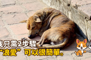 你我只需2步驟 “浪愛”可以很簡單