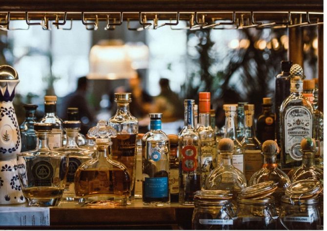 酒吧叢林任你闖NFT開賣聯手擴張叢林版圖