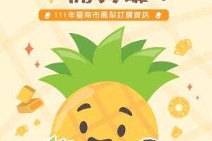 又甜又多汁！「台南鳳梨」進入產季　攜手各大業者創雙贏