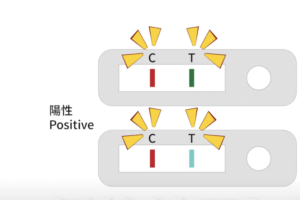 「快篩陽性=確診」明起上路　最新流程、規定一次看