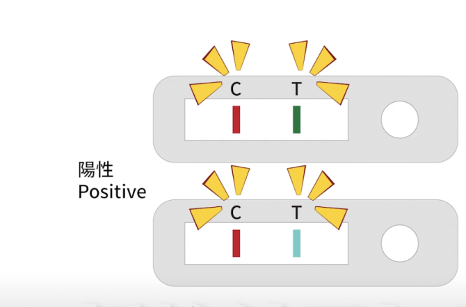 「快篩陽性=確診」明起上路　最新流程、規定一次看