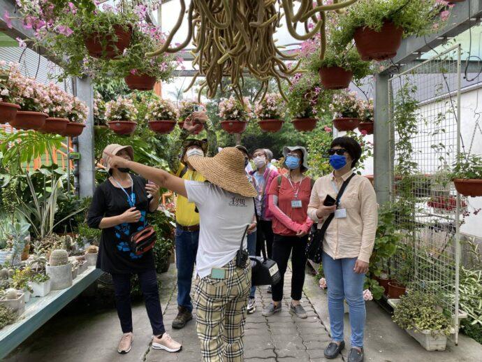 共學共創賞花香　田尾花卉文化旅遊新亮點