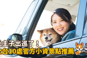 毛主子出巡了！全台10處官方小資景點推薦