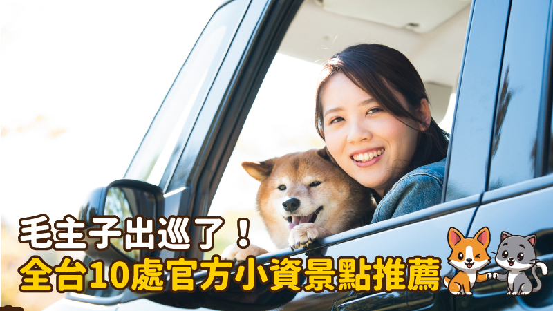 毛主子出巡了！全台10處官方小資景點推薦