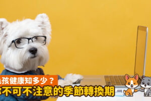 春夏季節轉換 注意養狗5原則，讓毛孩快樂一夏