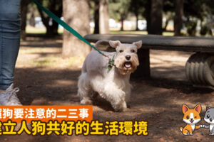遛狗要注意的二三事，建立健康人狗共好的環境！