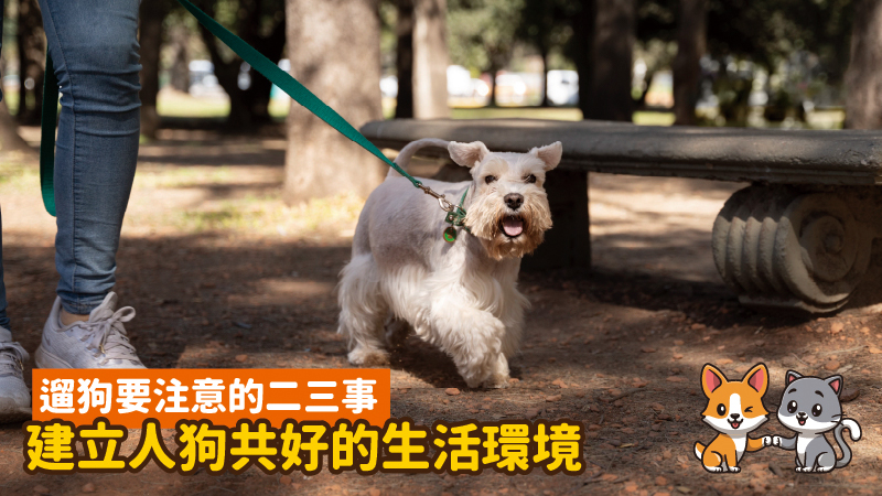 遛狗要注意的二三事，建立健康人狗共好的環境！