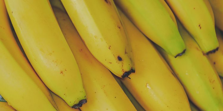 香蕉要選直的或彎的?斑點蕉還能吃嗎?食藥署教你吃對香蕉補充營養