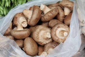 網傳香菇抑制癌細胞？食藥署告訴你真相