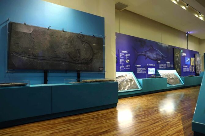 暑假親子潮玩恐龍 《水怪特展》跨時空一探史前水棲爬行動物