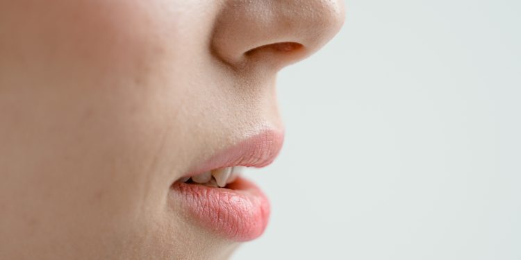 認識肺炎與鼻腔帶菌，鼻腔透視展北高展出，民眾可免費入場