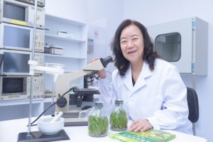 七道防線抗新冠、用中草藥胚胎工程打造下一個護國神山