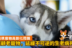 重視寵物高齡化問題「照顧老寵物」　延緩不可逆的生老病死