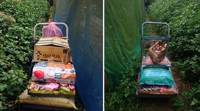 年餘古稀守護毛孩不渝  缺乏狗場亟待各方協助