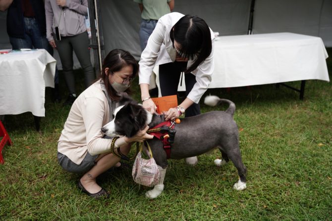 「2022臺北動物保護月」響應世界狂犬病日 即日起狗公園辦12場免費預防注射活動