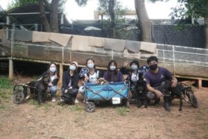 不忘初衷！MIT寵物食品品牌倍力Bluebay致力公益：毛孩笑容是最大動力