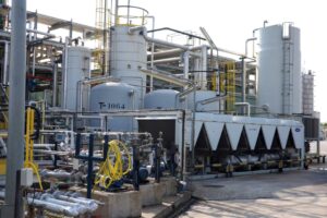 你吃的魚油安全嗎？檢視此魚油防偽標章，確保高品質魚油