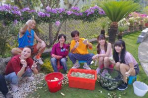 楊繡惠震撼宣布息影　「最後一次外景」花容失色