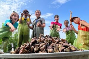 阿翔水田採菱角⋯用力一拉竟是「超長水蛇」　眾人狂奔上岸