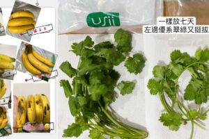 家庭主婦狂推、廚師御用的美式賣場保鮮利器大公開