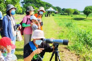 2月2日世界濕地日 屏東珍貴稀有鳥類復育有成