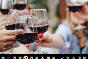 【高性價比紅酒特輯】旺迪紅酒 宴會居家首要選擇