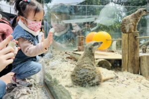 清明4天連假高雄必玩景點 12歲以下免費入園