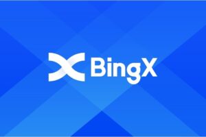 BingX將與波波錢包攜手合作，舉辦桃園永豐雲豹籃球「元宇宙樂園主題日」