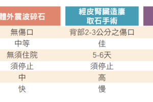 反覆泌尿道感染竟藏3cm結石？一次性軟式輸尿管鏡解決它！