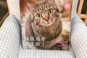 謝祖武其實是貓奴？養貓人必備《貓咪與我》收錄不為人知的一面