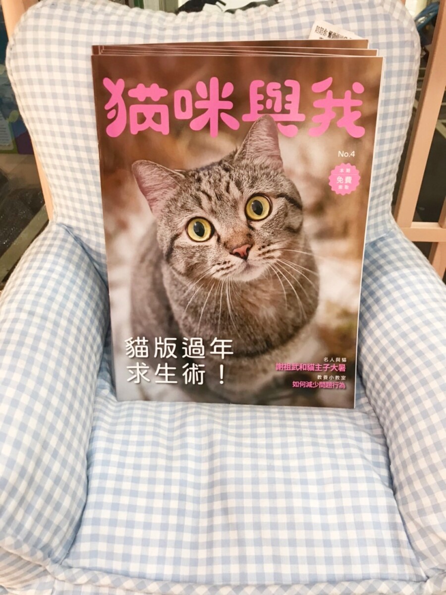 謝祖武其實是貓奴？養貓人必備《貓咪與我》收錄不為人知的一面