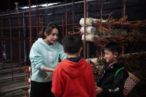 國內唯一鮮採鹿角靈芝｜南投埔里菇類生態農場