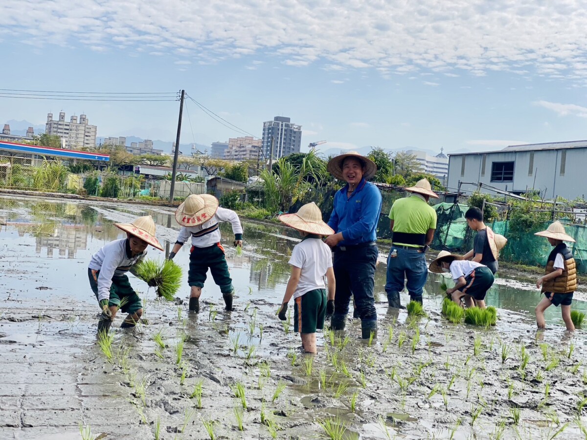 推動食農教育 大里農會攜手在地學校辦農耕體驗
