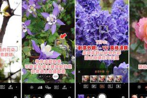 Sony 推春季 Xperia 購機好禮　再分享旗艦機專用賞花攝影技巧