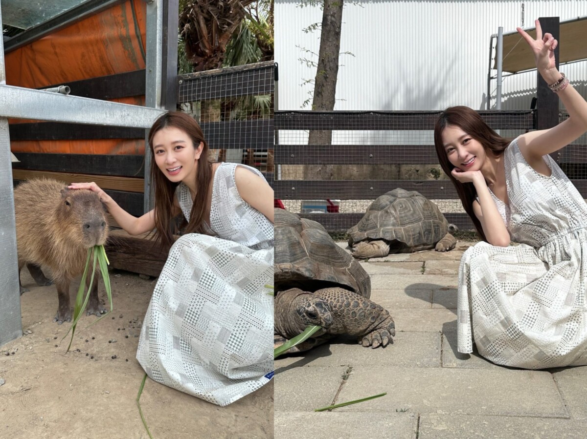 Toyz入監服刑 篠崎泫未能親自送行 原來是做這件事