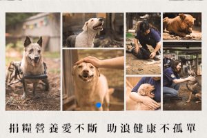 法國皇家攜手 momo 購物網　守護浪浪捐糧營養愛不斷