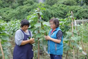 全台最苦命鄉長王玫瑰 日以繼夜護秀林