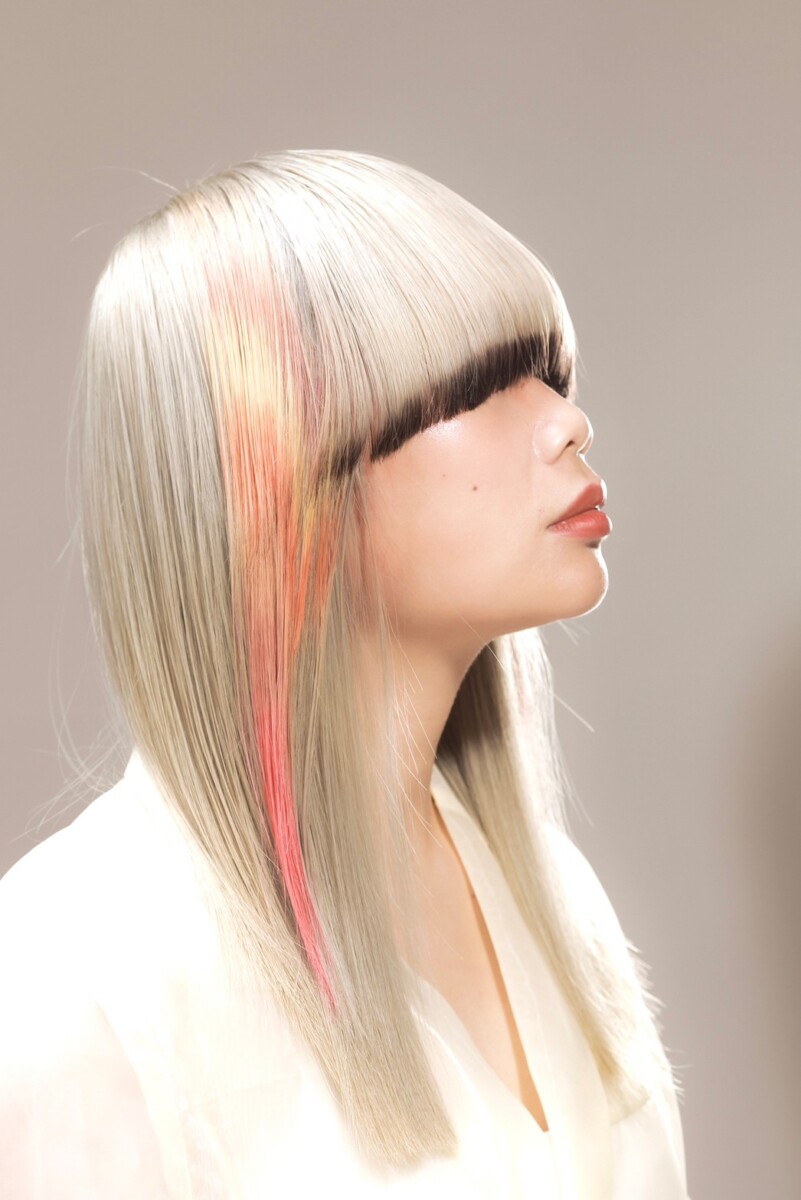 高收入頂尖髮型設計師 解密染髮色彩配方技巧 創造高級夢幻髮色