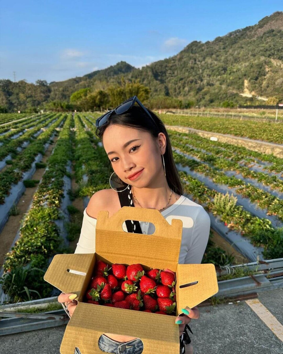 苗栗景點|草莓控必收!嚴選7家大湖草莓園,一窺其中的特色與優點 名品牛奶草莓園