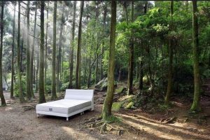 手工床墊第一品牌！新北土城床墊專家阿萬師量身打造親膚透氣床墊